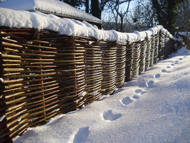 geschwungener Weidenflechtzaun im Winter mit Schnee, rechts Fusspuren im Schnee
